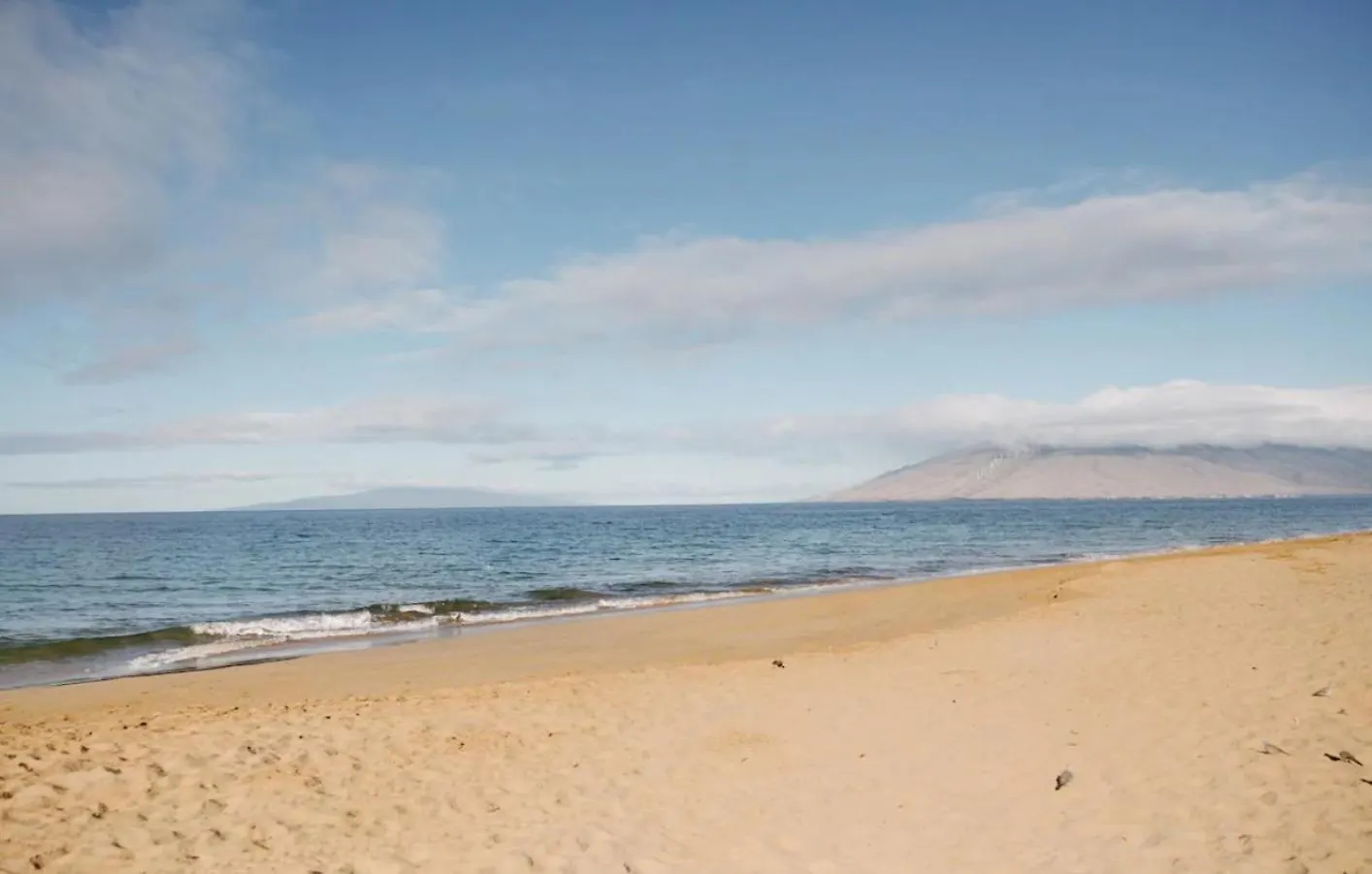 Renovated & Walkable To Beaches, Shops & Dining! Wailea  0*, Wailea (Maui) United States