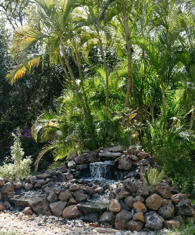 Aparthotel Renovated & Walkable To Beaches, Shops & Dining! Wailea