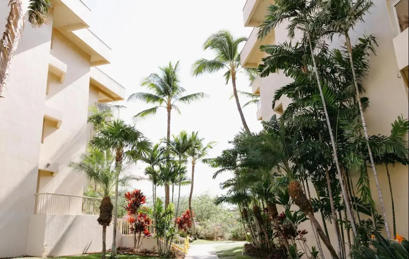 Renovated & Walkable To Beaches, Shops & Dining! Wailea