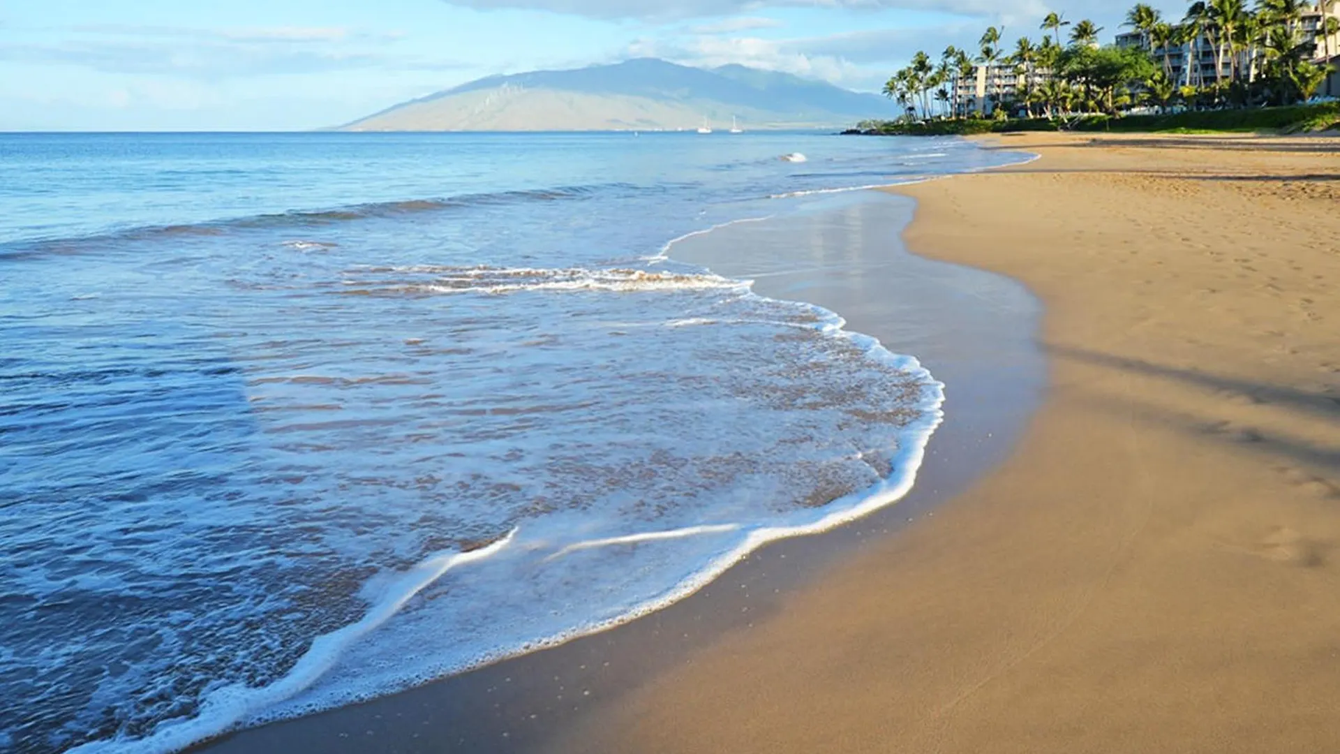 Renovated & Walkable To Beaches, Shops & Dining! Wailea  Wailea (Maui)